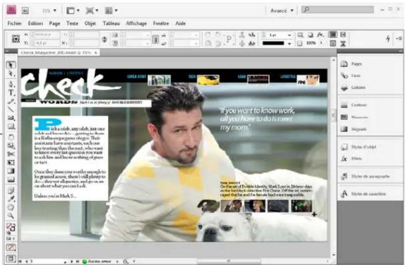 ADOBE InDesign CS5.5 - Création de fichiers FLA pour le Web - 1