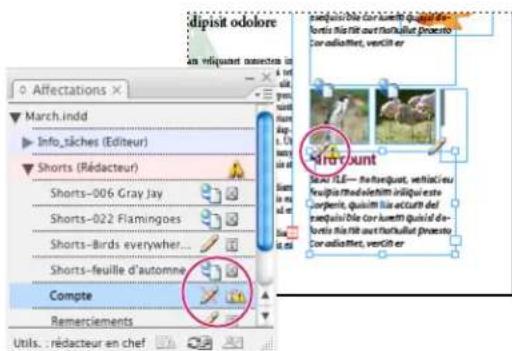 ADOBE InDesign CS5.5 - Mise à jour de contenu - 1
