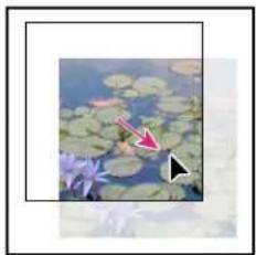 ADOBE InDesign CS5.5 - Déplacement d'un bloc graphique ou de son contenu - 3