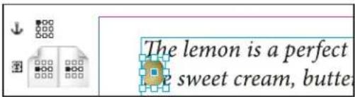ADOBE InDesign CS5.5 - Placement d'un objet ancré selon des options personnalisées - 2