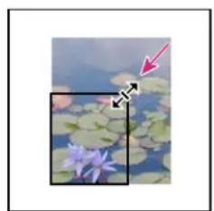 ADOBE InDesign CS5.5 - Recadrage ou masquage d'objets - 1