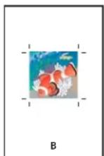 ADOBE InDesign CS5.5 - Spécification de la taille de papier et de l'orientation de la page - 2