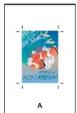 ADOBE InDesign CS5.5 - Spécification de la taille de papier et de l'orientation de la page - 1