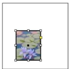 ADOBE InDesign CS5.5 - Recadrage ou masquage d'objets - 2