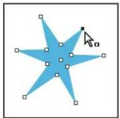 ADOBE InDesign CS5.5 - Pour sélectionner un tracé ou des points sur un tracé - 1