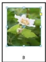 ADOBE InDesign CS5.5 - Pour ajuster un objet à son bloc - 2