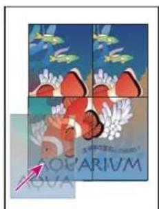 ADOBE InDesign CS5.5 - Juxtaposition d'un document - 2