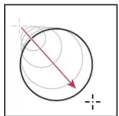 ADOBE InDesign CS5.5 - Création de traits et de formes de base - 1