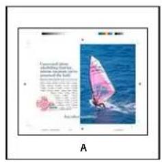 ADOBE InDesign CS5.5 - Options d'importation Acrobat (.pdf) et Illustrator (.ai) - 2