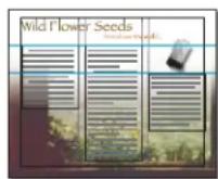 ADOBE InDesign CS5.5 - Rectification automatique de la mise en page - 2
