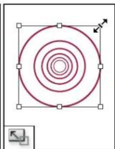 ADOBE InDesign CS5.5 - Galerie d'outils de transformation - 3