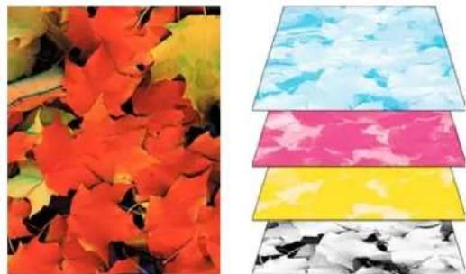 ADOBE InDesign CS5.5 - Création des séparations - 1