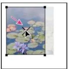 ADOBE InDesign CS5.5 - Déplacement d'un bloc graphique ou de son contenu - 4