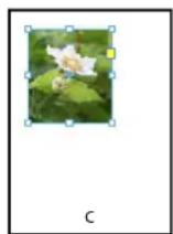 ADOBE InDesign CS5.5 - Pour ajuster un objet à son bloc - 3