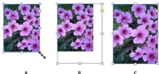 ADOBE InDesign CS5.5 - Redimensionnement d'objets - 1