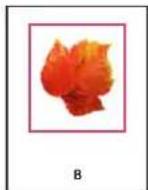 ADOBE InDesign CS5.5 - Création d'une bordure ou d'un arrière-plan - 2