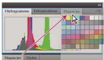 ADOBE InDesign CS5.5 - Manipulation de groupes de panneaux - 1