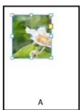 ADOBE InDesign CS5.5 - Pour ajuster un objet à son bloc - 1