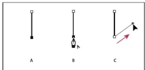 ADOBE InDesign CS5.5 - Dessin de droites suivies de courbes - 1