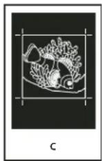 ADOBE InDesign CS5.5 - A propos de l'émulsion et de l'exposition de l'image - 3
