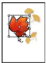 ADOBE InDesign CS5.5 - Pour sélectionner des objets imbriqués, associés ou superposés - 2