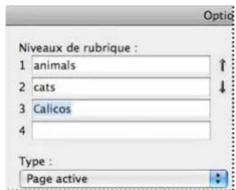 ADOBE InDesign CS5.5 - Pour ajouter une entrée d'index - 1