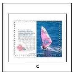 ADOBE InDesign CS5.5 - Options d'importation Acrobat (.pdf) et Illustrator (.ai) - 4