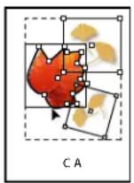 ADOBE InDesign CS5.5 - Pour sélectionner des objets imbriqués, associés ou superposés - 3