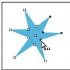 ADOBE InDesign CS5.5 - Pour sélectionner un tracé ou des points sur un tracé - 2