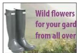 ADOBE InDesign CS5.5 - Ajout d'objets aux calques - 1