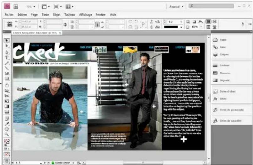 ADOBE InDesign CS5.5 - Création de fichiers SWF (Flash) interactifs pour le Web - 1