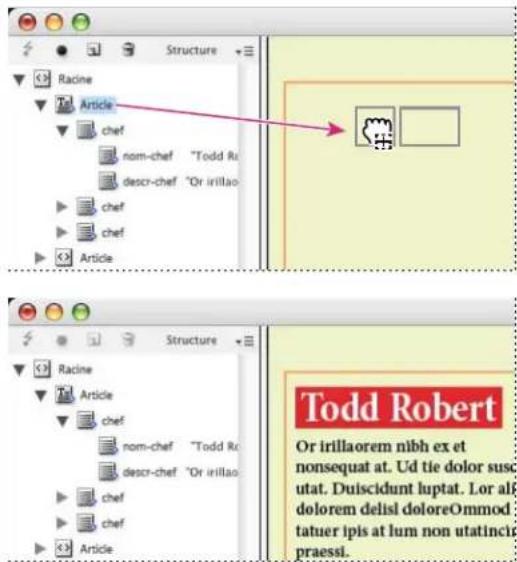 ADOBE InDesign CS5.5 - Mise en page du contenu - 1