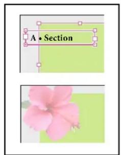 ADOBE InDesign CS5.5 - A propos des gabarits, de l'ordre de superposition et des calques - 1