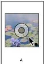 ADOBE InDesign CS5.5 - Sélection d'objets - 2