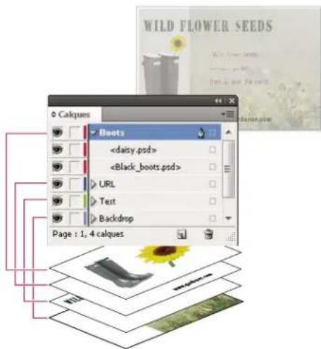 ADOBE InDesign CS5.5 - A propos des calques - 1