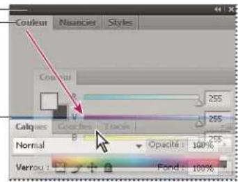 ADOBE InDesign CS5.5 - Déplacement de panneaux - 1