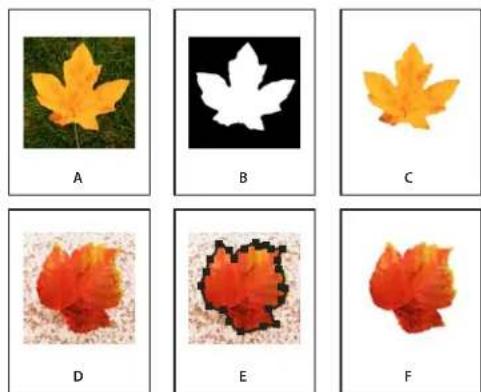 ADOBE InDesign CS5.5 - Recadrage d'un objet à l'aide d'un tracé ou d'une couche alpha - 1