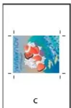 ADOBE InDesign CS5.5 - Spécification de la taille de papier et de l'orientation de la page - 3