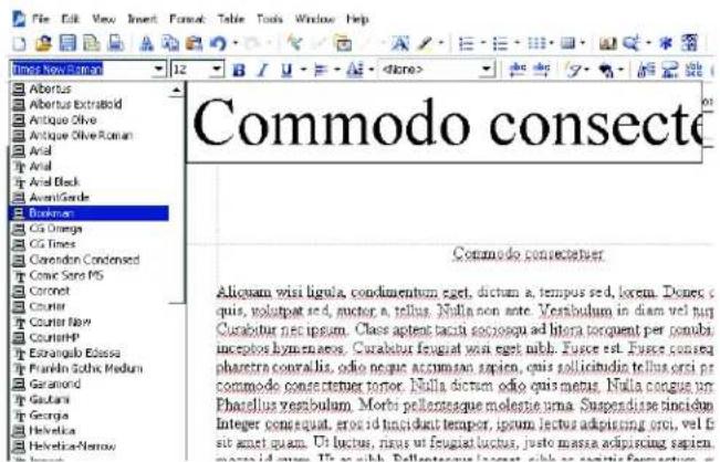 COREL WordPerfect Office X7 - Modification du style de la police - 1