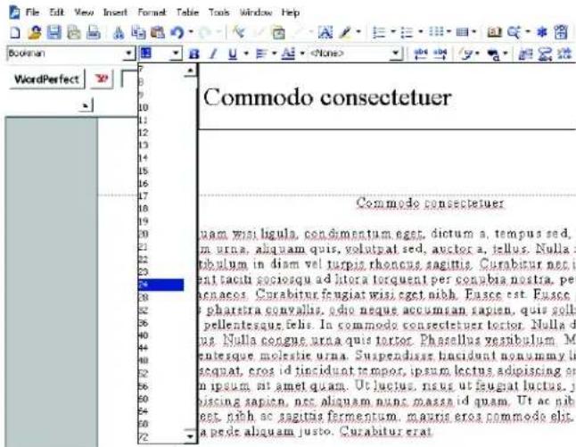 COREL WordPerfect Office X7 - Modification de la taille de police - 1