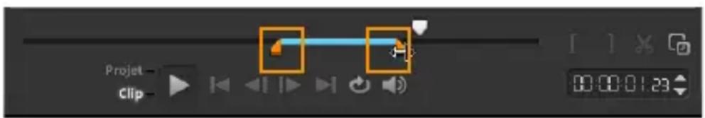 COREL VideoStudio PRO X8 - Pour appliquer une animation au texte courant - 2