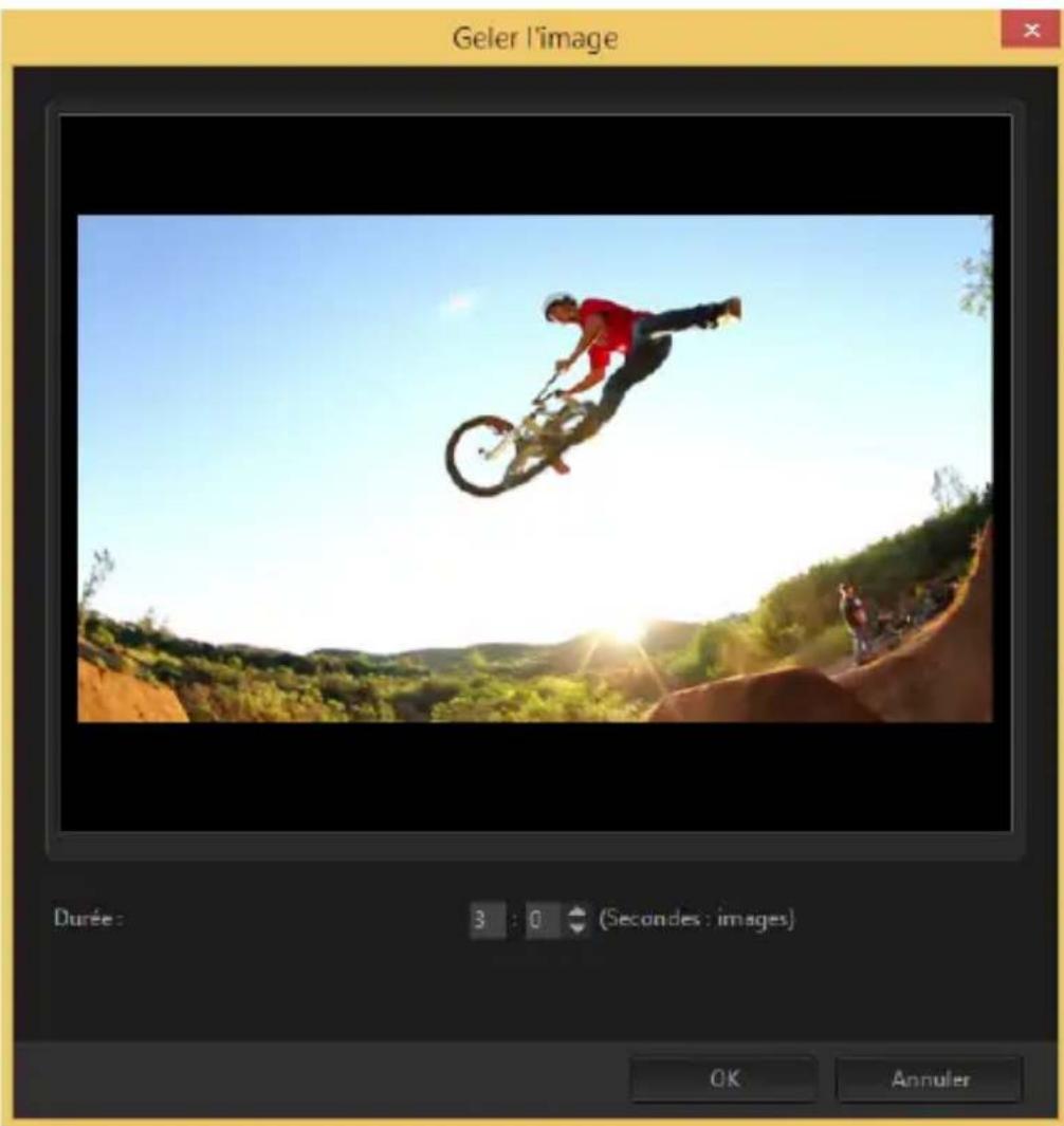 COREL VideoStudio PRO X8 - Utilisation de Geler l'image - 1