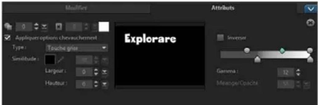 COREL VideoStudio PRO X8 - Pour combiner un clip d'incrustation avec l'arrière-plan en utilisant les paramètres Clé - 2