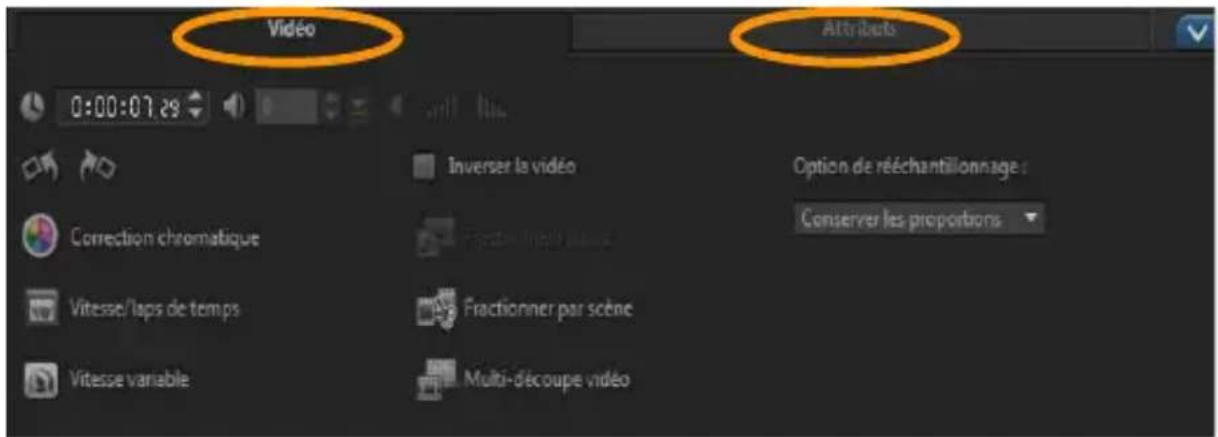 COREL VideoStudio PRO X8 - Utilisation du panneau Options dans l'espace de travail Éditer - 1