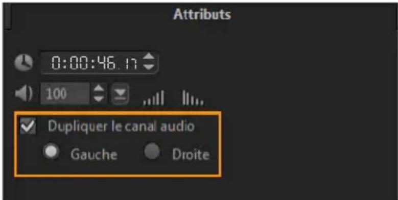COREL VideoStudio PRO X8 - Duplication d'un canal audio - 1