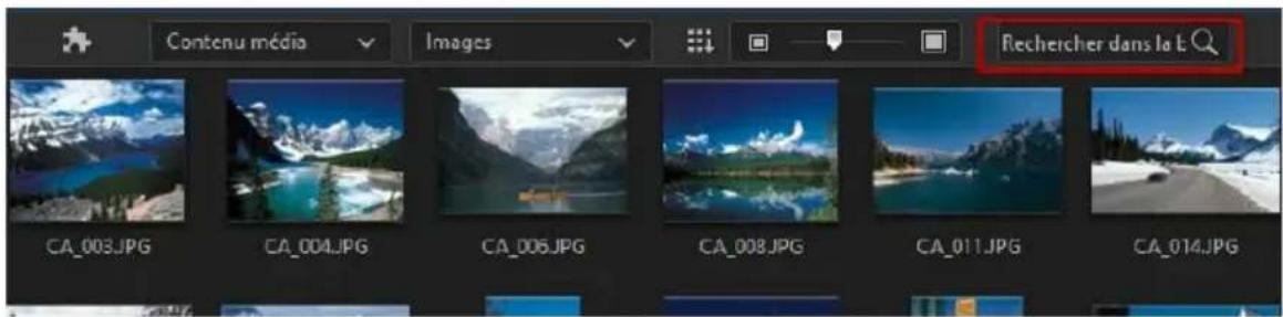 CYBERLINK PowerDirector 13 - Recherche dans la bibliothèque de PowerDirector - 1