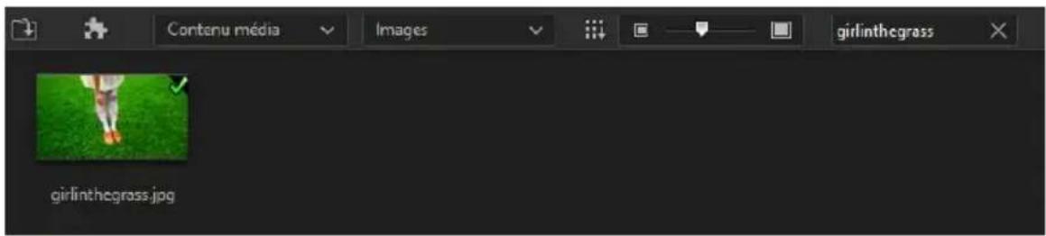 CYBERLINK PowerDirector 13 - Recherche dans la bibliothèque de PowerDirector - 2