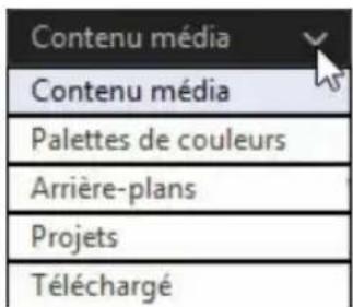 CYBERLINK PowerDirector 13 - Contenu média. - 1