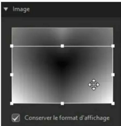 CYBERLINK PowerDirector 13 - Modification des propriétés de l'image - 2