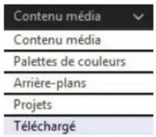 CYBERLINK PowerDirector 13 - Téléchargement de media - 2